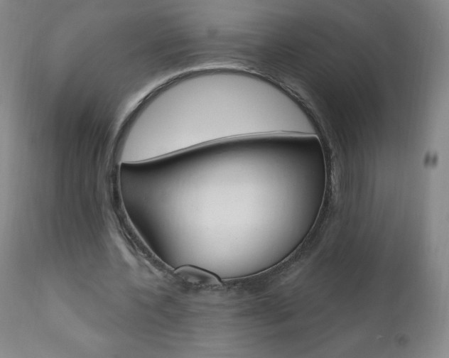 X0000111020532200906191233