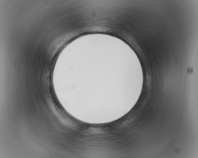 X0000111020534200906191233