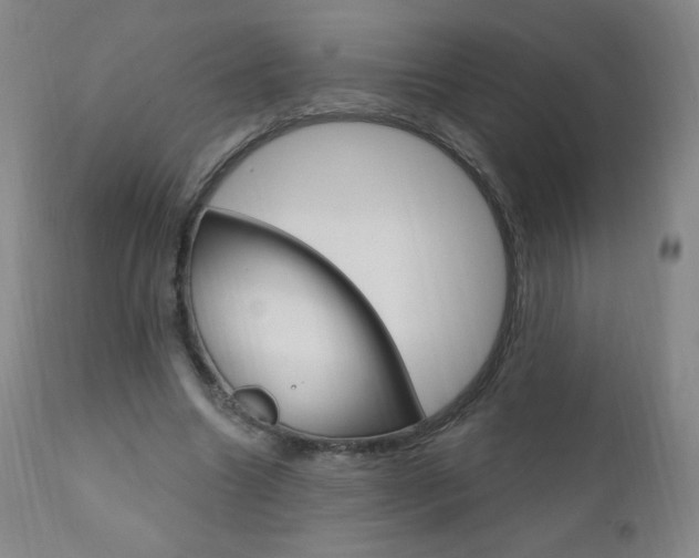 X0000111020538200906191233