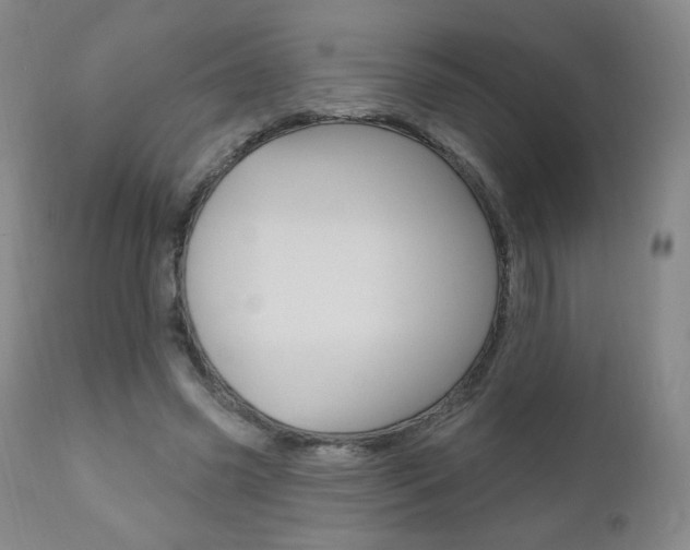 X0000111020541200906191233