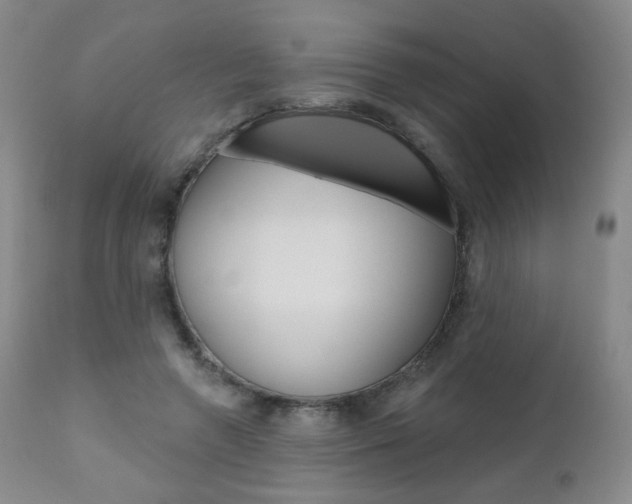 X0000111020546200906191233