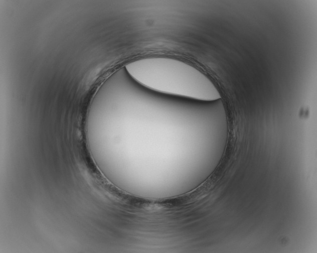 X0000111020547200906191233