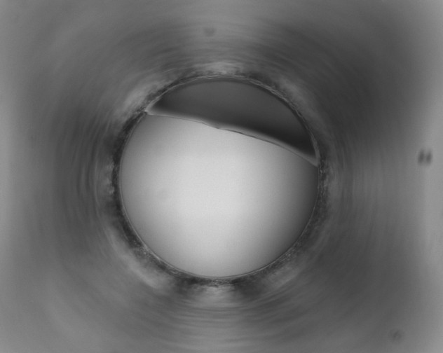 X0000111020548200906191233
