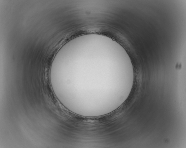 X0000111020549200906191233