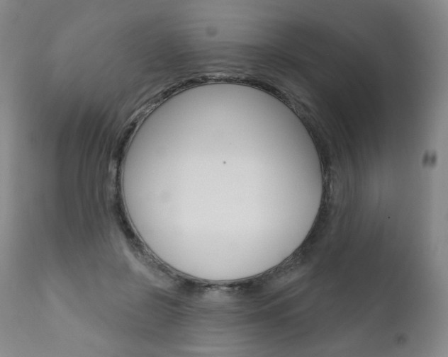 X0000111020550200906191233