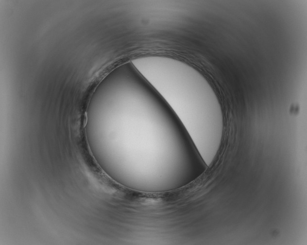 X0000111020552200906191233