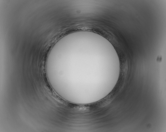 X0000111020553200906191233