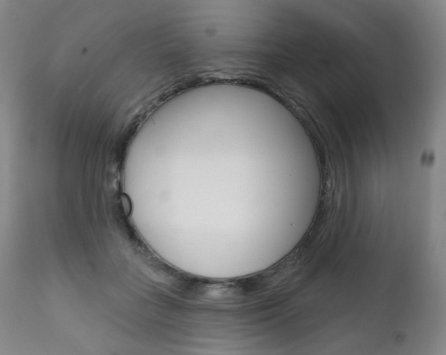 X0000111020555200906191233