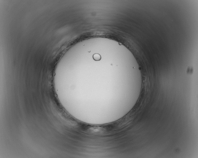 X0000111020557200906191233