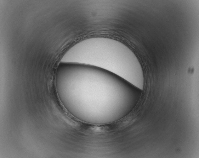 X0000111020558200906191233