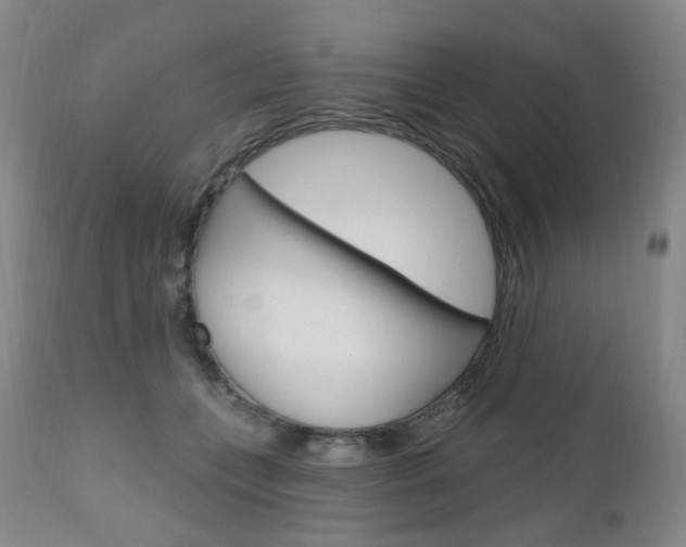 X0000111020559200906191233