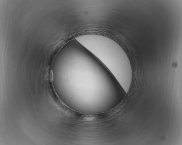 X0000111020560200906191233