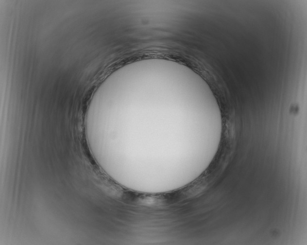 X0000111020561200906191233