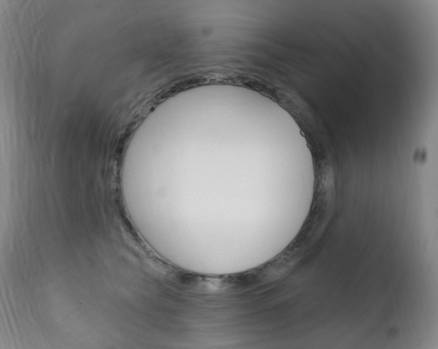 X0000111020565200906191233