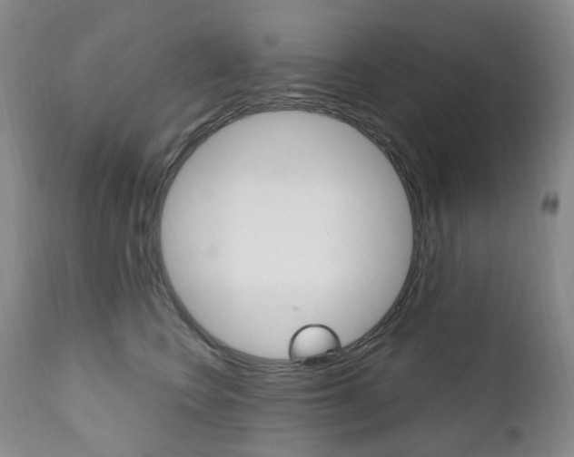 X0000111020566200906191233