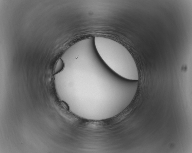 X0000111020567200906191234