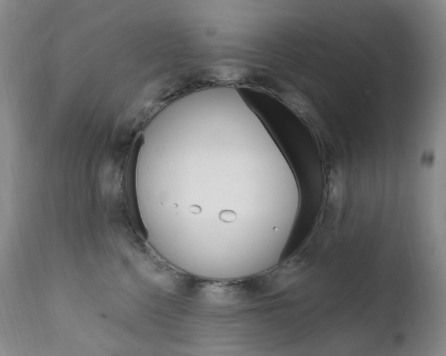 X0000111020568200906191234