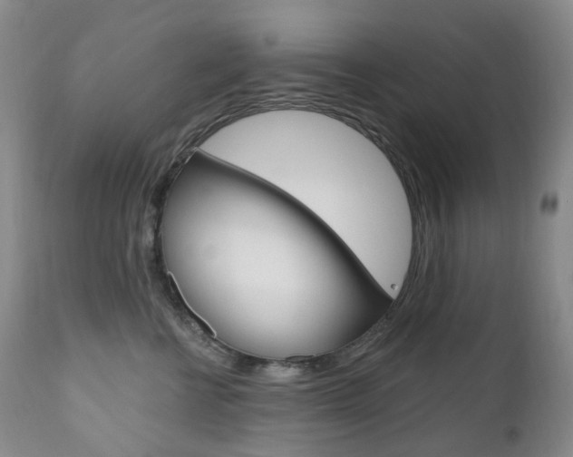 X0000111020570200906191234
