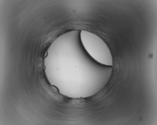 X0000111020571200906191234