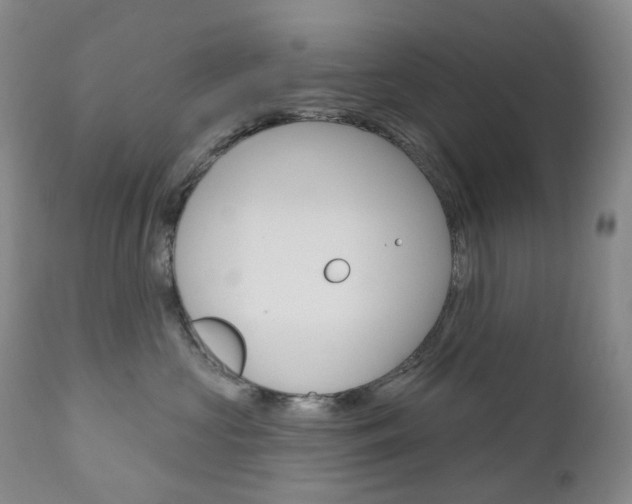 X0000111020573200906191234