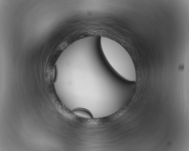 X0000111020574200906191234