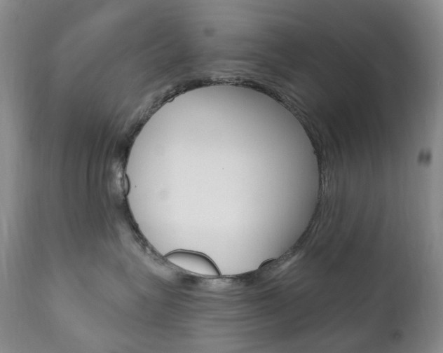 X0000111020575200906191234