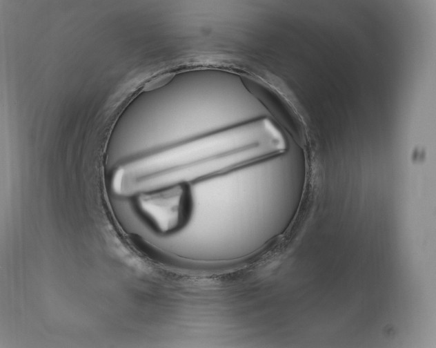 X0000111020577200906191233
