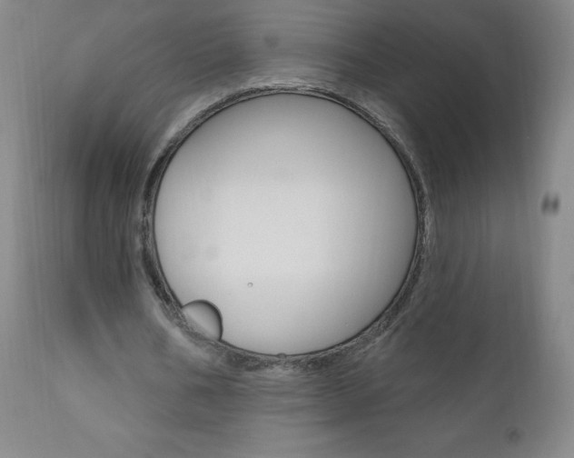 X0000111020578200906191233