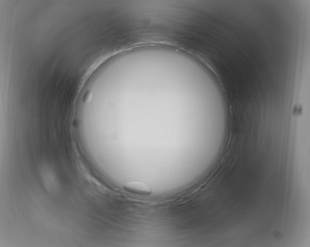 X0000111020579200906191233