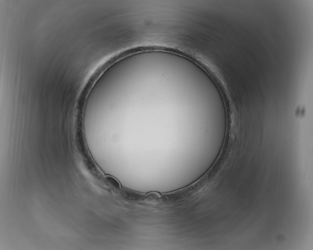 X0000111020580200906191233