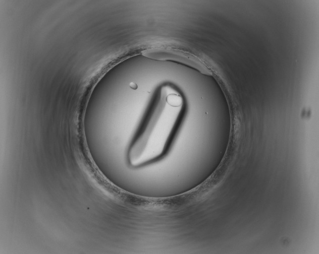 X0000111020581200906191233