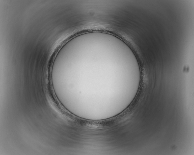 X0000111020582200906191233