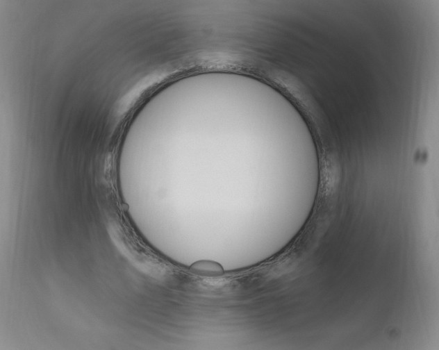 X0000111020583200906191233