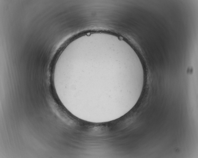 X0000111020584200906191233