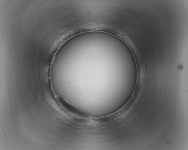 X0000111020585200906191233