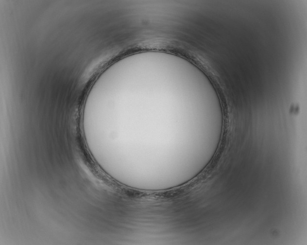X0000111020586200906191233