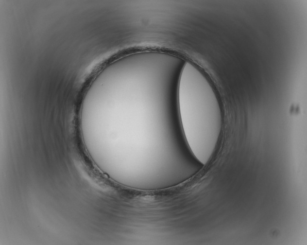 X0000111020588200906191233