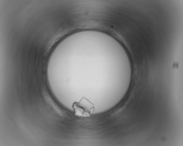 X0000111020589200906191233