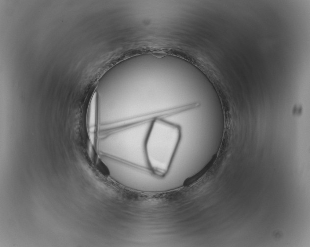 X0000111020593200906191233