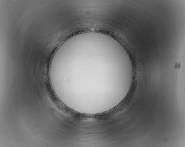 X0000111020594200906191233