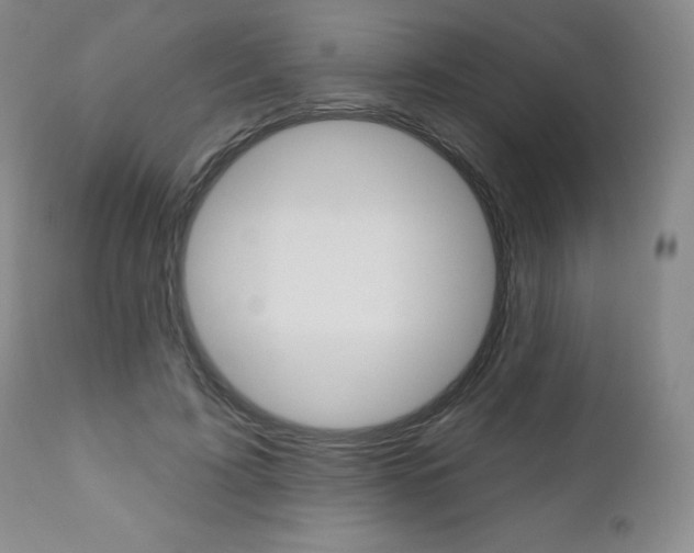 X0000111020595200906191233