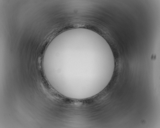 X0000111020598200906191233