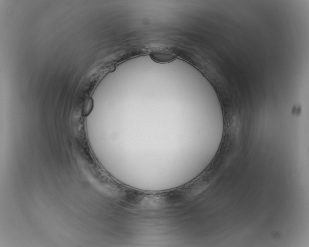 X0000111020599200906191232