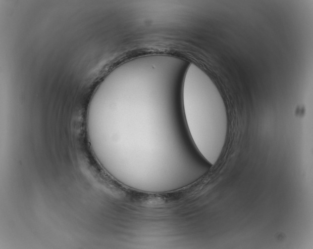 X0000111020600200906191232