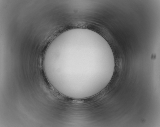 X0000111020602200906191232