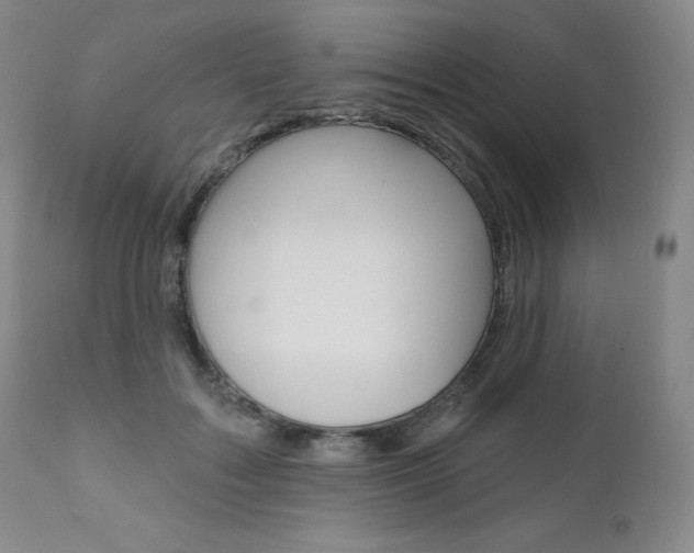 X0000111020603200906191232
