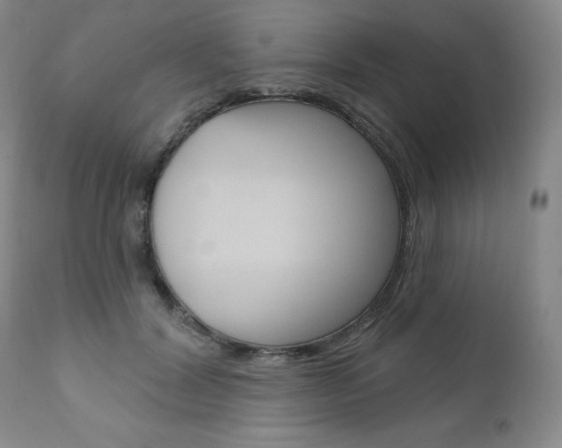 X0000111020604200906191232