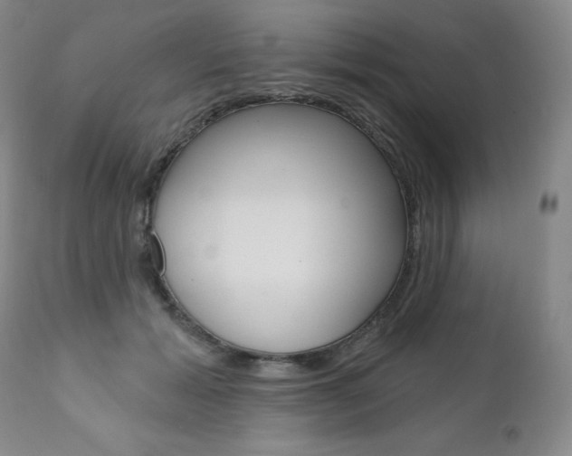 X0000111020605200906191232