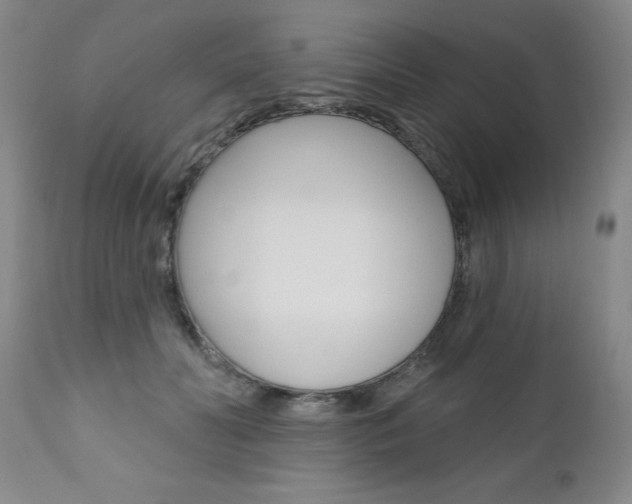 X0000111020606200906191232
