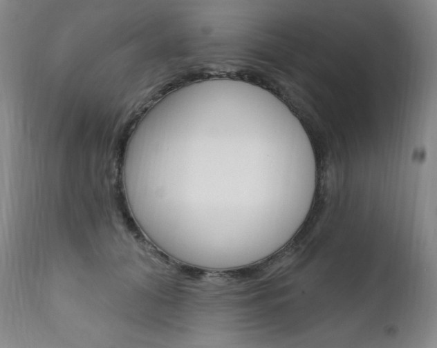 X0000111020608200906191232